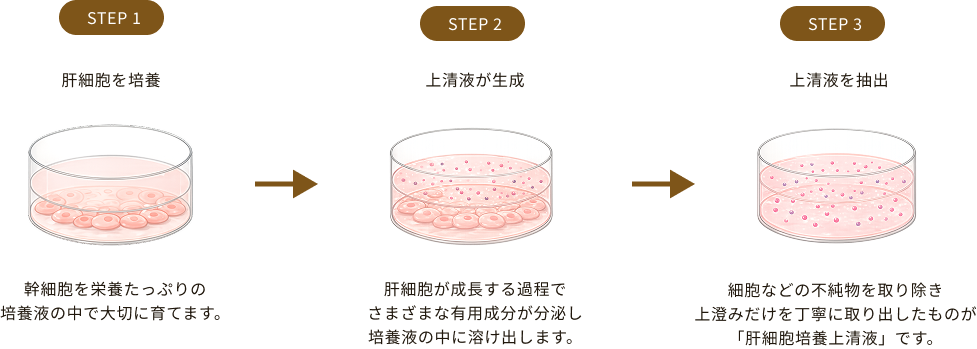 step