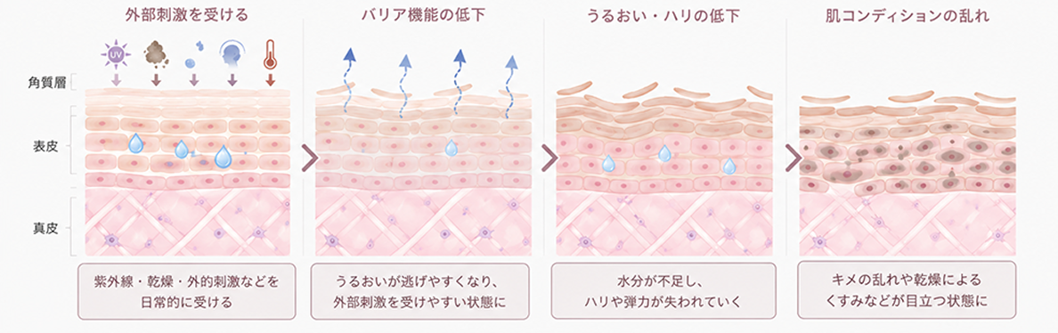 skin