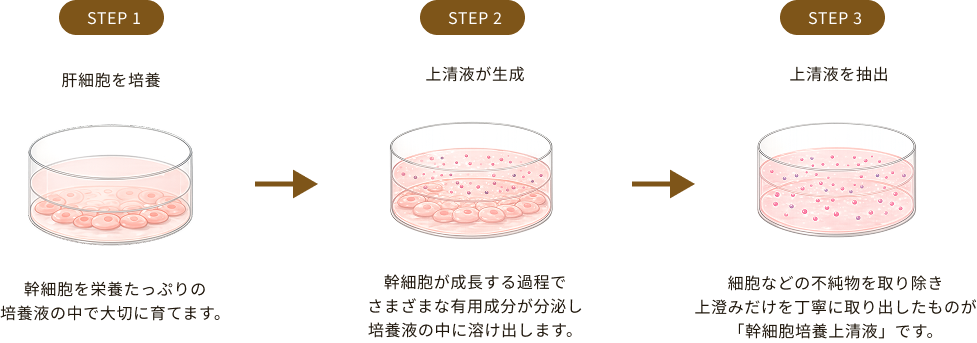 step